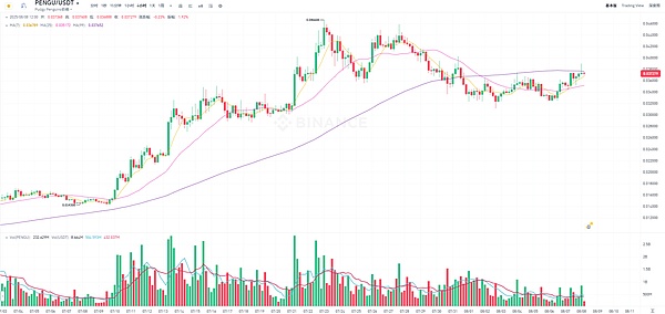 伊斯坦布尔：下一个全球加密货币之都？Binance高管深度解读