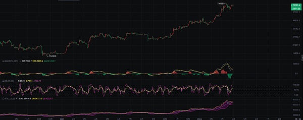 NFT数据分析新思路：告别数据泥潭，拥抱高效API