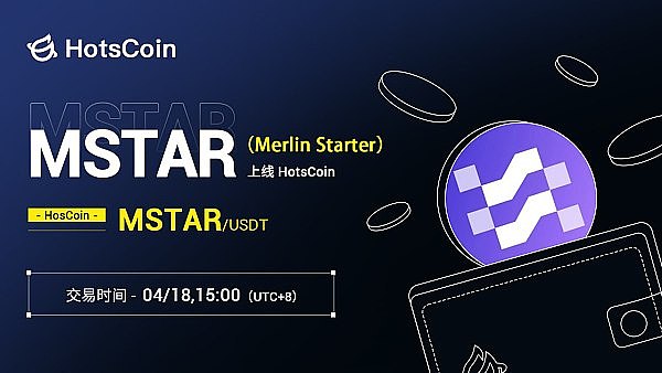 当你遇到MeMeCoin：一个毫不掩饰的纯粹模因币