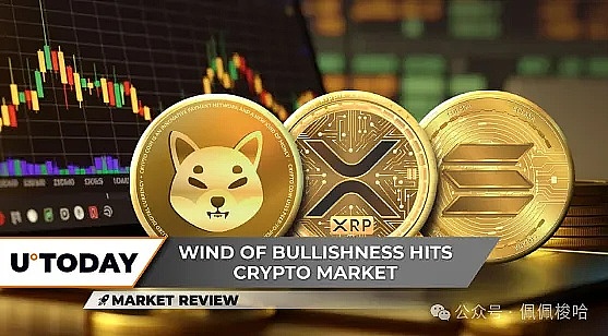 当比特币冲破4万美元大关，这些小弟们能跟上来吗？
