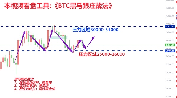 抓住年末机会！这些潜力币种可能让你赚翻