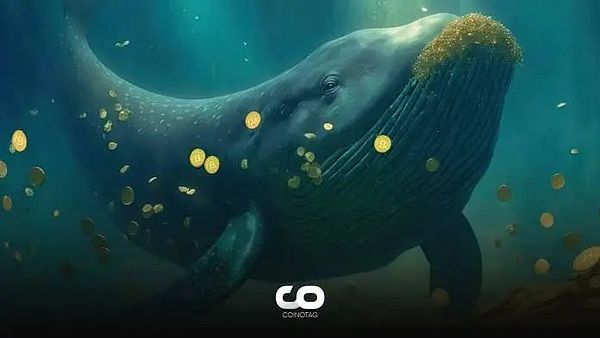 BitVM：比特币智能合约的革命性突破还是纸上谈兵？